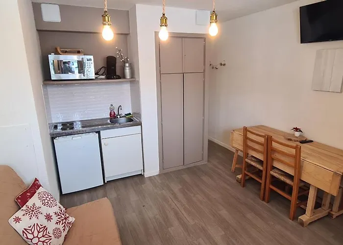 Appartement Chaleureux, Gourette Pieds Des Pistes Et Gr10